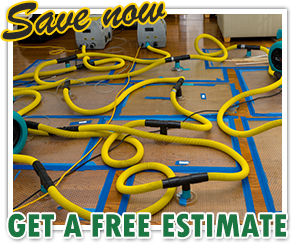 Flood Damage Repair in The Woodlands Texas